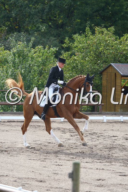 009M5668_Bonito_Dressur S Inter I.JPG